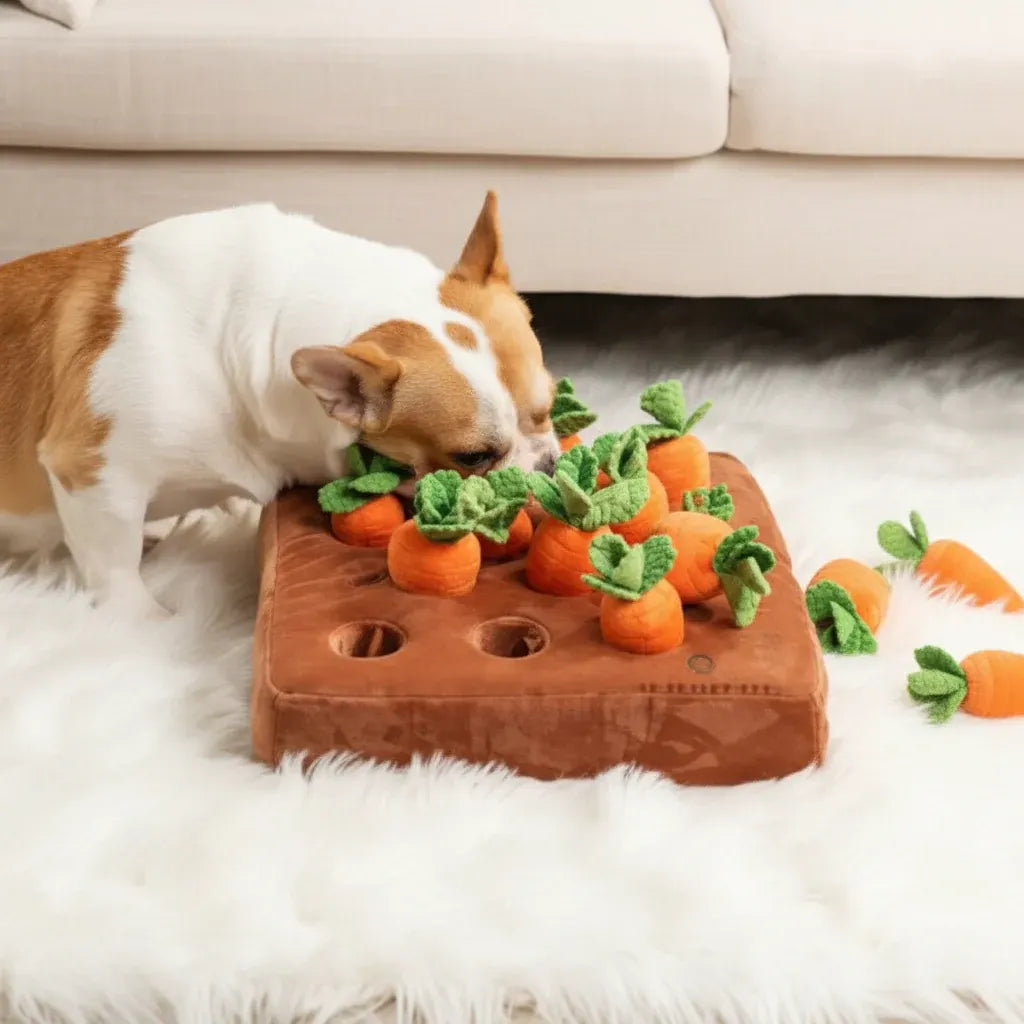 Interactive Carrot Puzzle Snuffle Mat for Dogs - Treat Hiding Training Toy