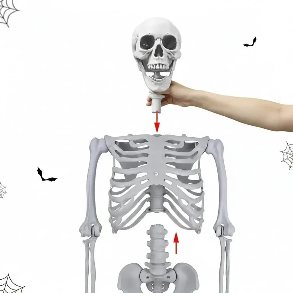Life-Size Halloween Skeleton Statue Display Decoration