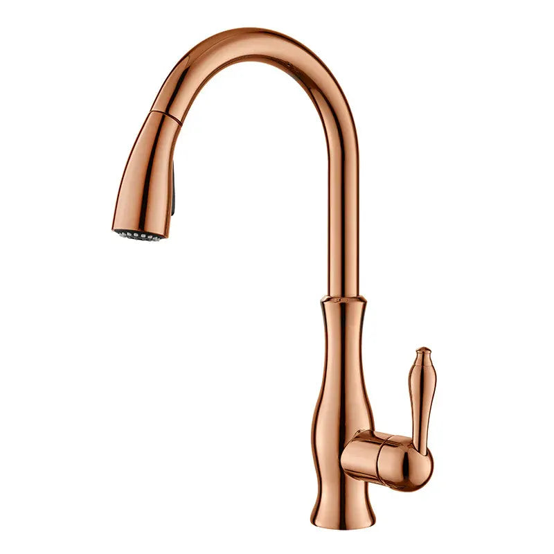 Pull-Out Metal Kitchen Sink Faucet with Modern Design