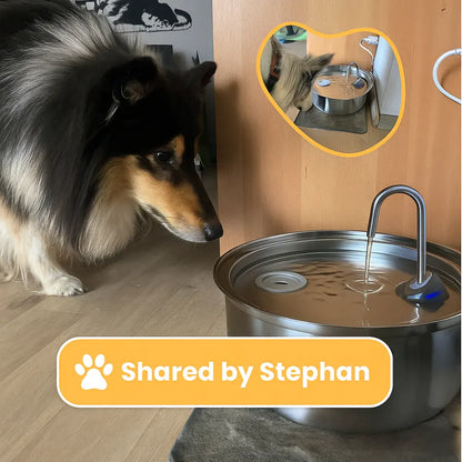 Automatic Stainless Steel Drinking Fountain for Pets