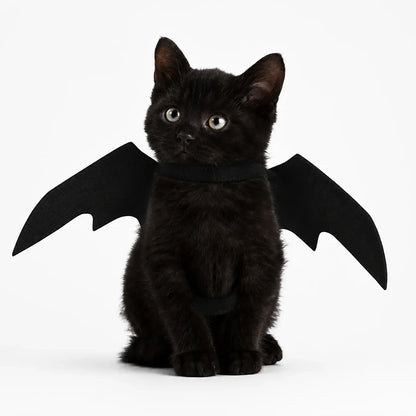 Bat Wings Pet Costume for Halloween