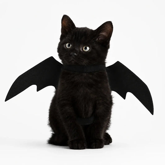 Bat Wings Pet Costume for Halloween