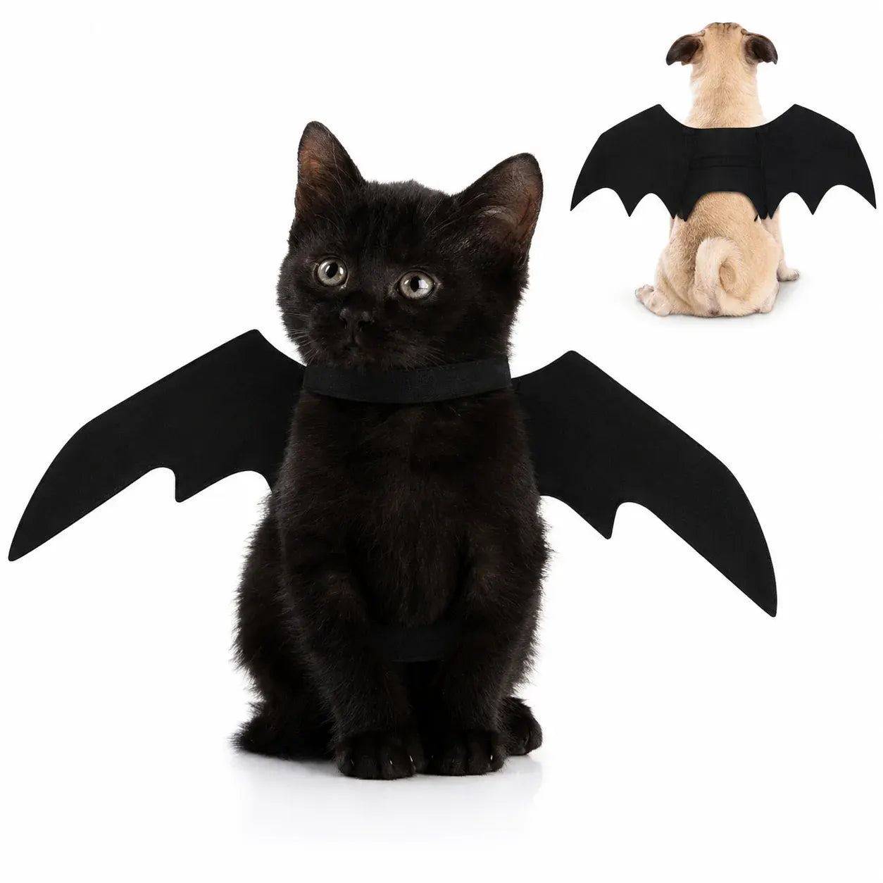 Bat Wings Pet Costume for Halloween