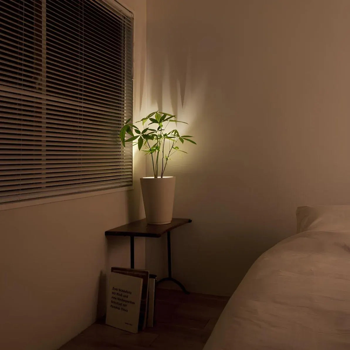 Battery-Powered Modern Adjustable LED Wall Sconce Spotlight