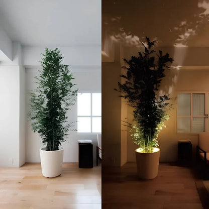 Battery-Powered Modern Adjustable LED Wall Sconce Spotlight