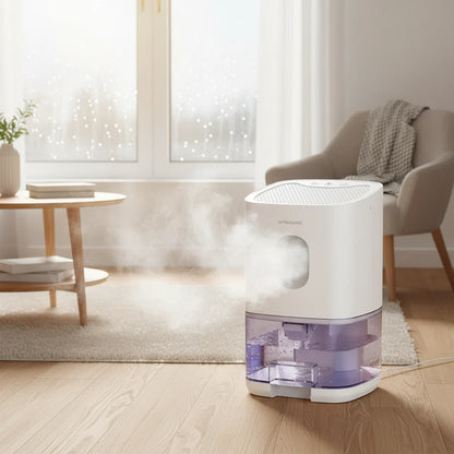 Compact Portable Home Dehumidifier