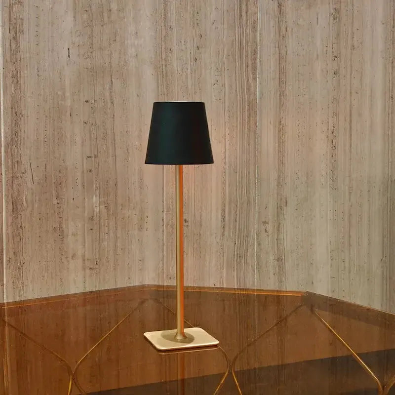 Cordless Rechargeable LED Table Lamp with Dimmable Touch Control, Modern Metal Design