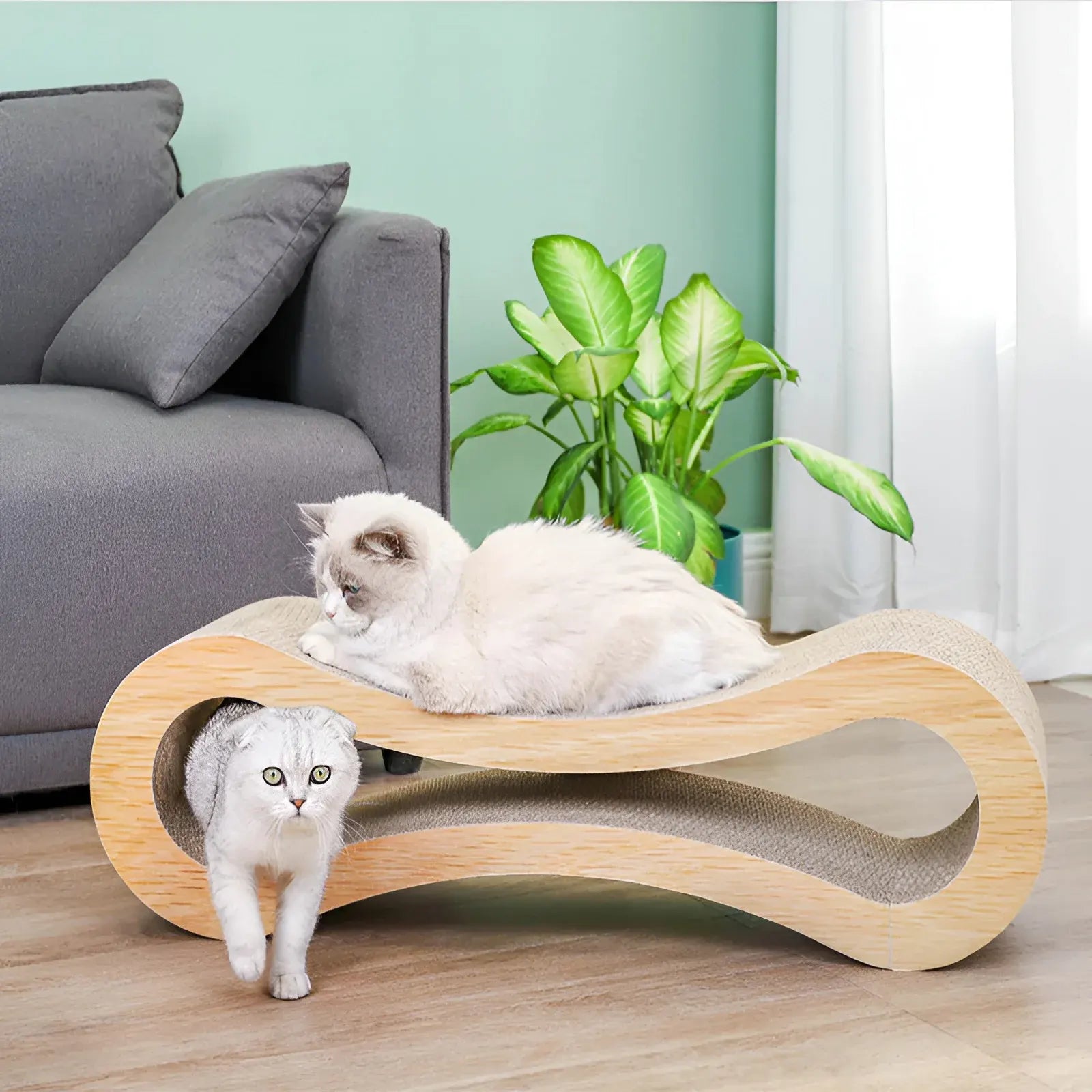 Curved Cat Scratching Board Lounge Bed with Claw Rest