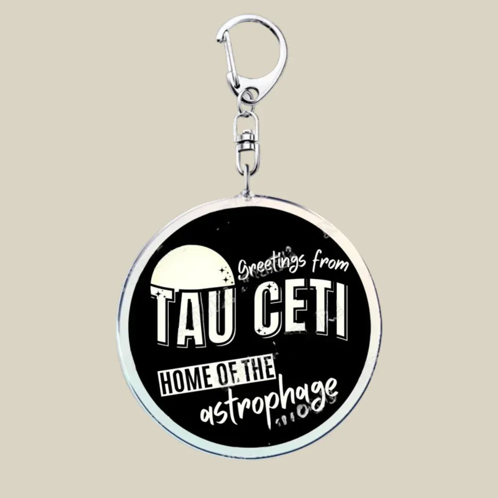 Cute Cartoon Bunny Cat Acrylic Charm Keychain Funny Novelty Key Ring Gift