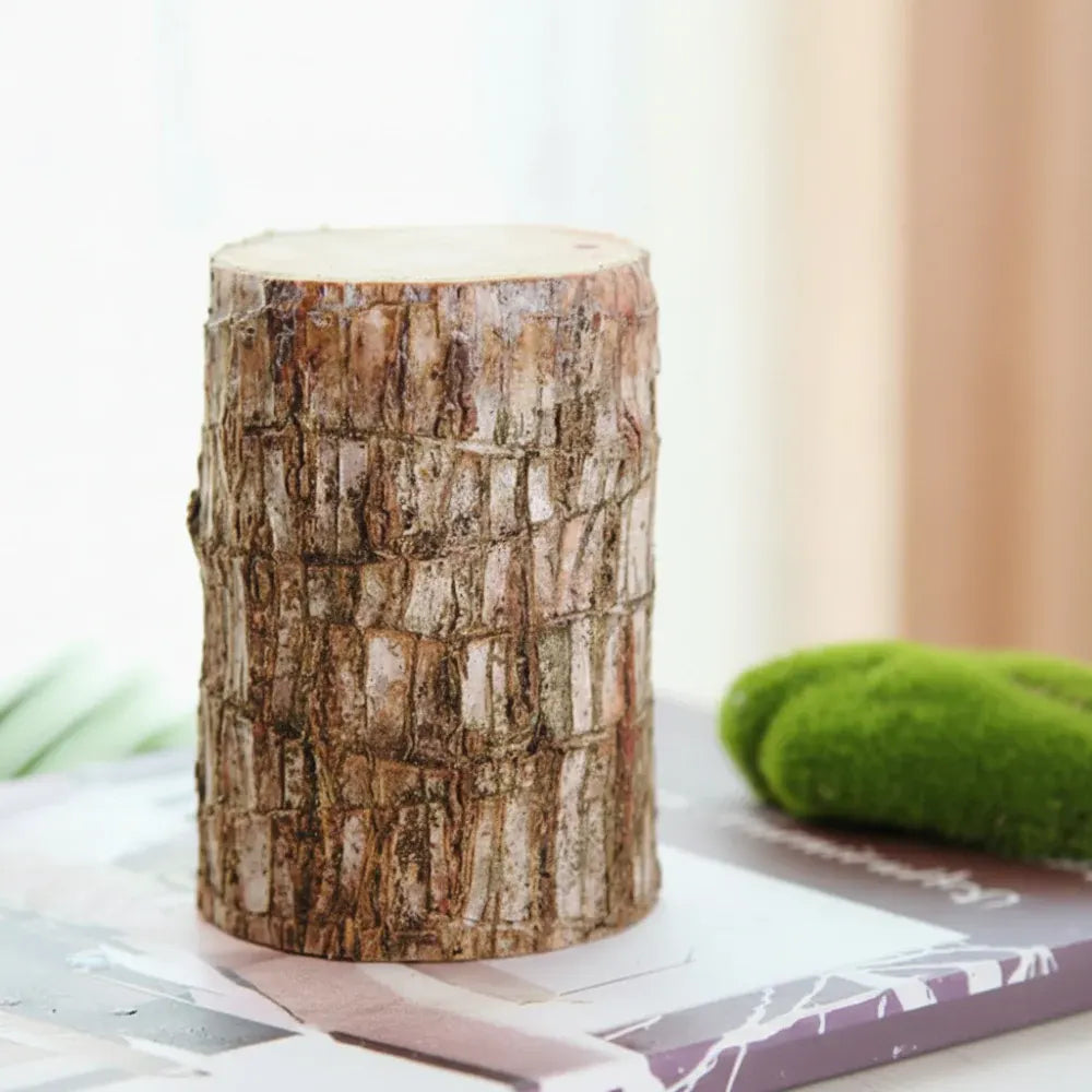 Decorative Lucky Bamboo Plant with Air-Purifying Pot