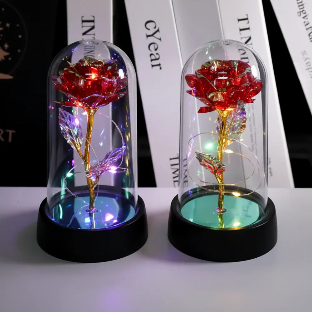 Decorative Rose Dome LED Night Light Gift Lamp