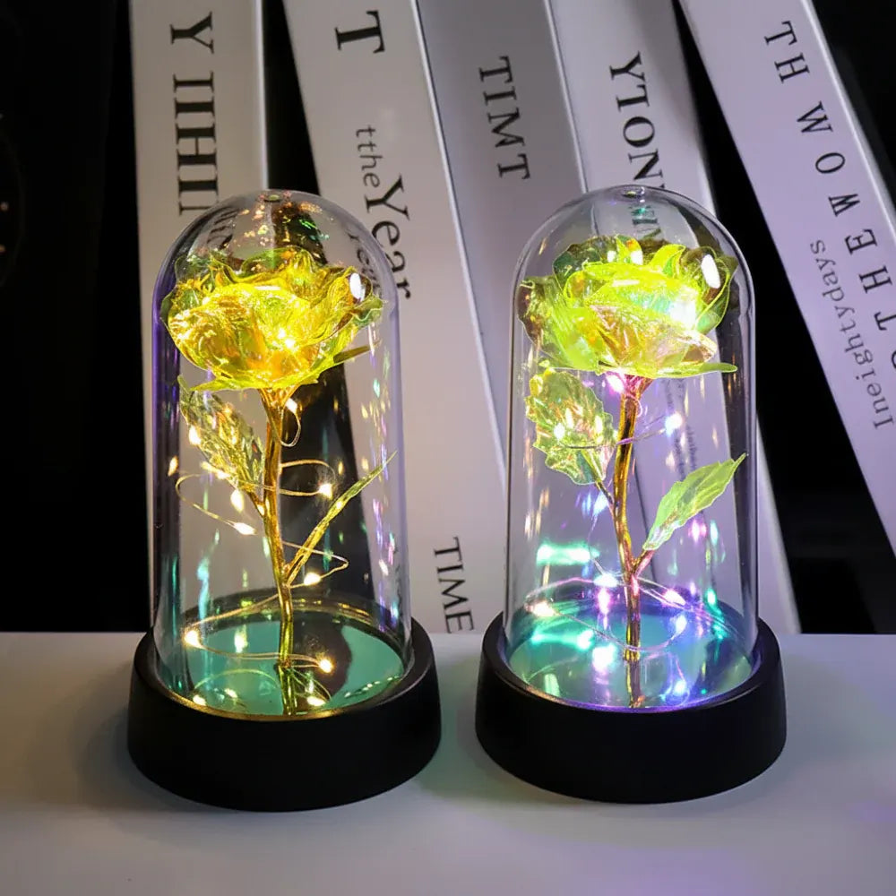 Decorative Rose Dome LED Night Light Gift Lamp