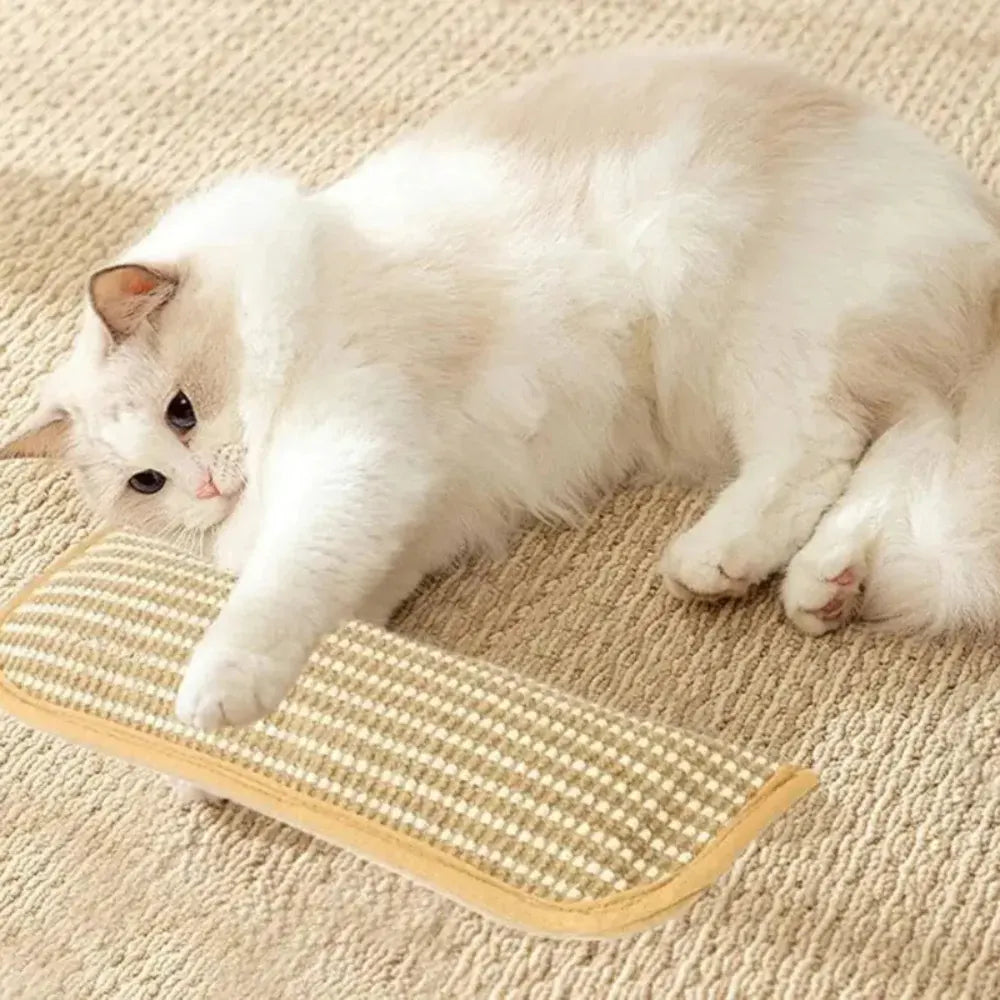 Durable Cat Scratcher Pillow with Soft Sturdy Surface