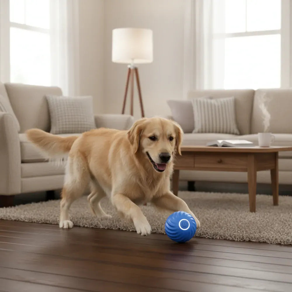 Durable Interactive Dog Ball Toy for Engaging Playtime Fun