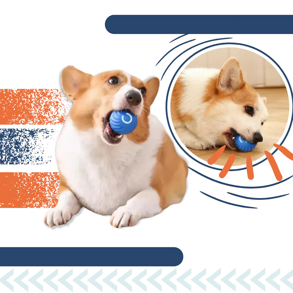 Durable Interactive Dog Ball Toy for Engaging Playtime Fun