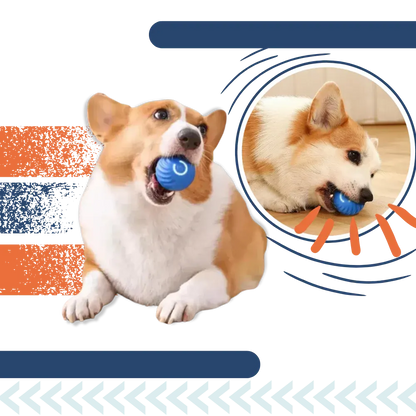 Durable Interactive Dog Ball Toy for Engaging Playtime Fun