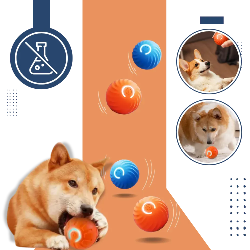 Durable Interactive Dog Ball Toy for Engaging Playtime Fun