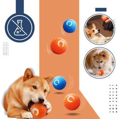 Durable Interactive Dog Ball Toy for Engaging Playtime Fun