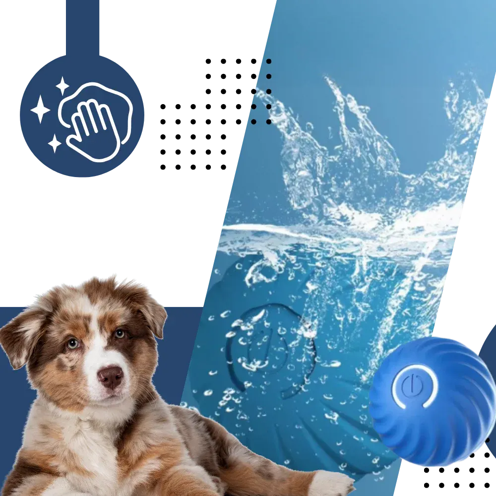 Durable Interactive Dog Ball Toy for Engaging Playtime Fun