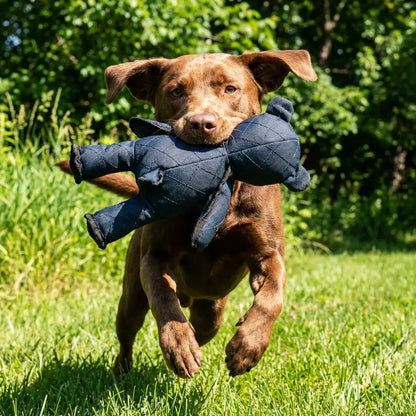 Durable Plush Bear-Shaped Interactive Chew Toy for Dogs
