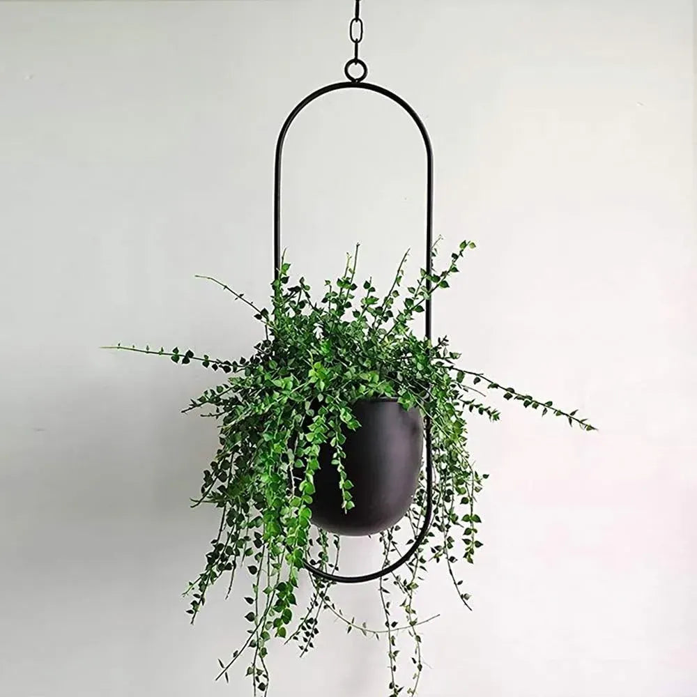 FloraFrame Hanging Planter | Sleek Modern Iron Design for Plants