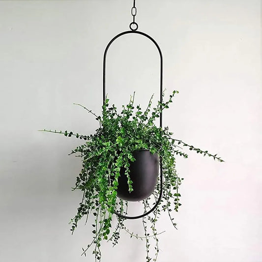 FloraFrame Hanging Planter | Sleek Modern Iron Design for Plants