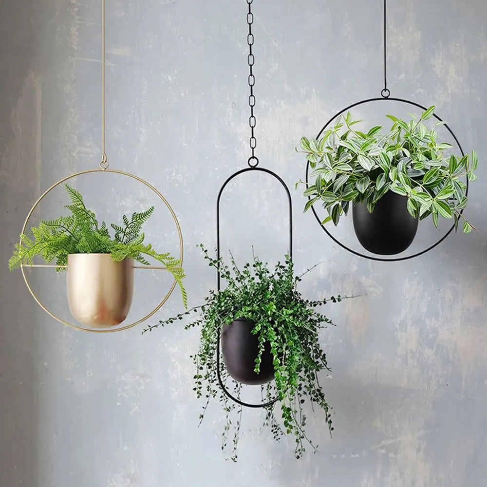FloraFrame Hanging Planter | Sleek Modern Iron Design for Plants
