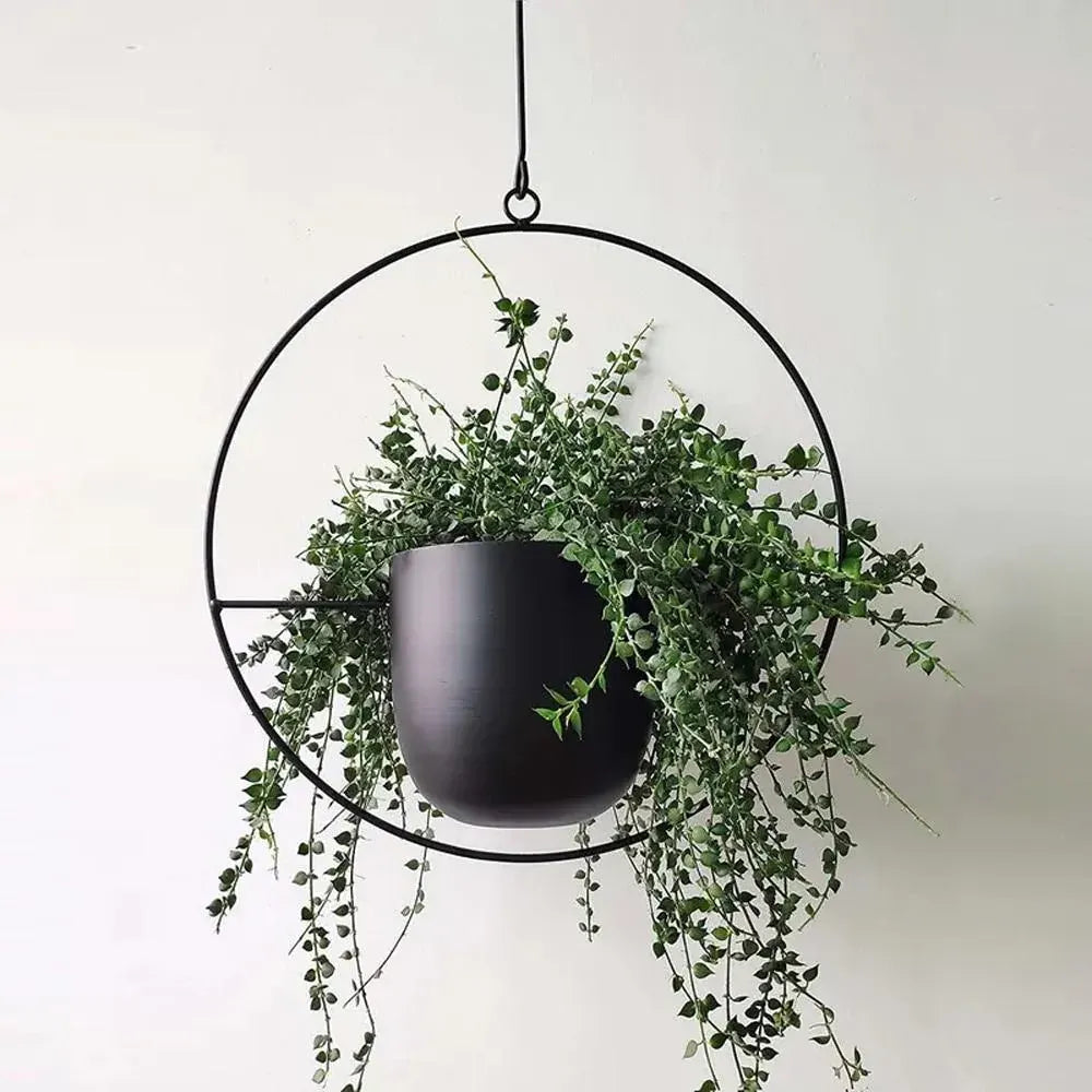 FloraFrame Hanging Planter | Sleek Modern Iron Design for Plants