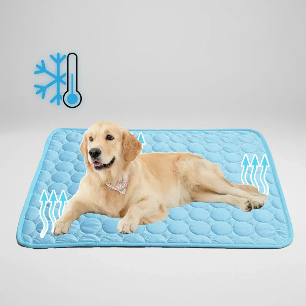 Foldable Breathable Cooling Pad for Dogs & Pets