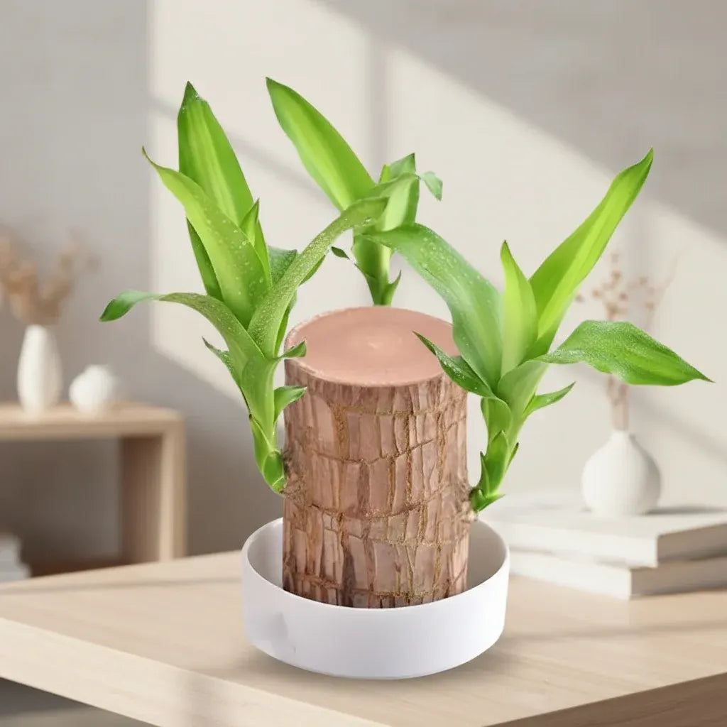 Indoor Outdoor Wooden Flower Pot Display Shelf & Plant Stand