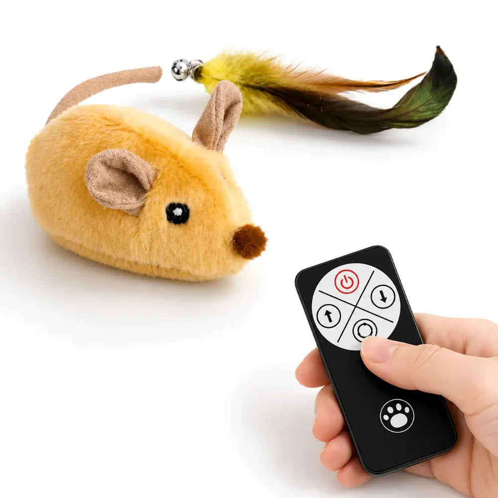 Interactive Cat Chase Toy with Remote-Controlled Mouse