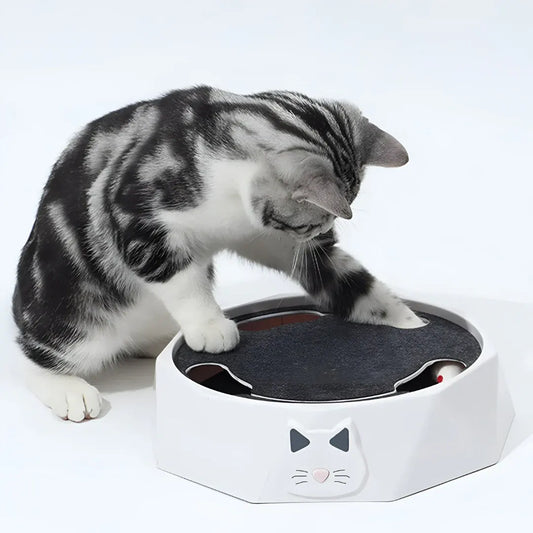 Interactive Cat Scratch Pad with Motion Mouse Activity Center
