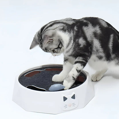 Interactive Cat Scratch Pad with Motion Mouse Activity Center