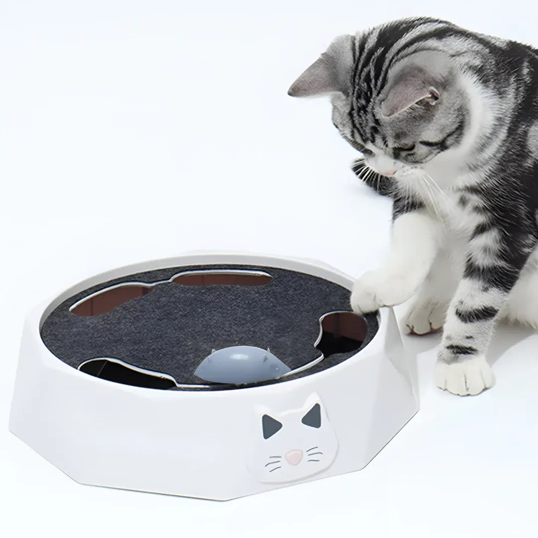 Interactive Cat Scratch Pad with Motion Mouse Activity Center