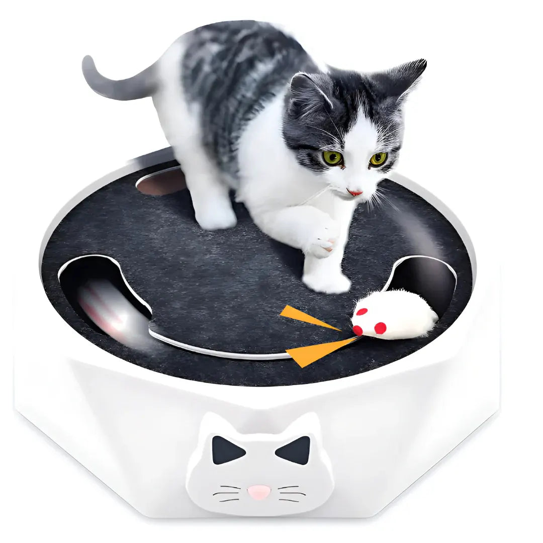 Interactive Cat Scratch Pad with Motion Mouse Activity Center