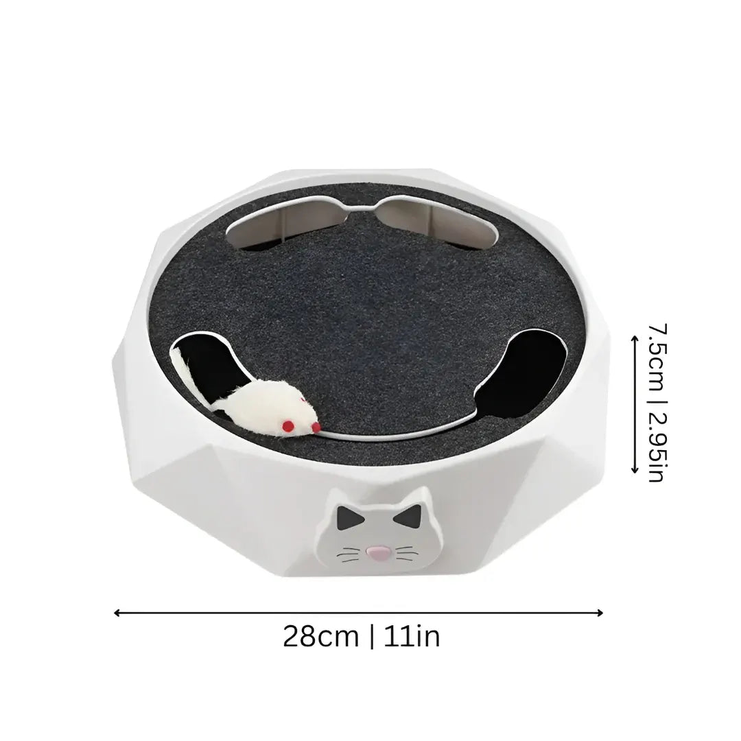 Interactive Cat Scratch Pad with Motion Mouse Activity Center