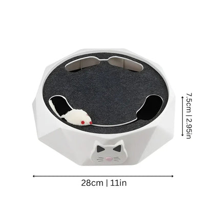 Interactive Cat Scratch Pad with Motion Mouse Activity Center