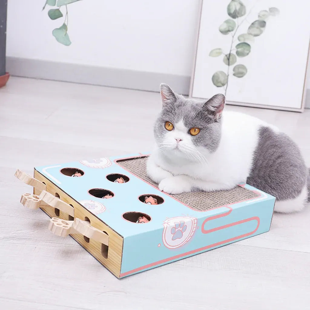 Interactive Cat Scratching Puzzle Box Toy