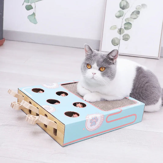 Interactive Cat Scratching Puzzle Box Toy