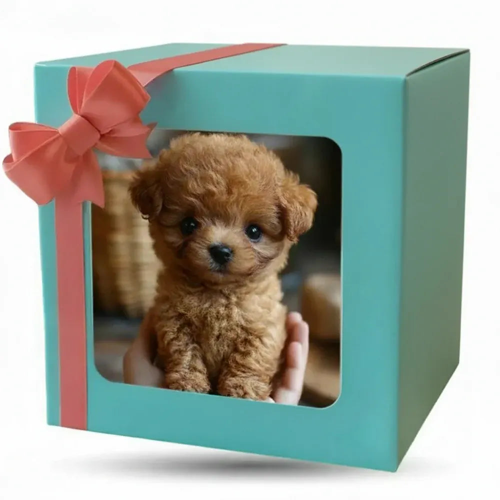 Interactive Puppy Walking Toy Design