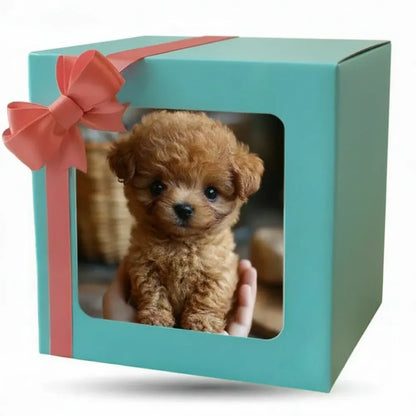 Interactive Puppy Walking Toy Design