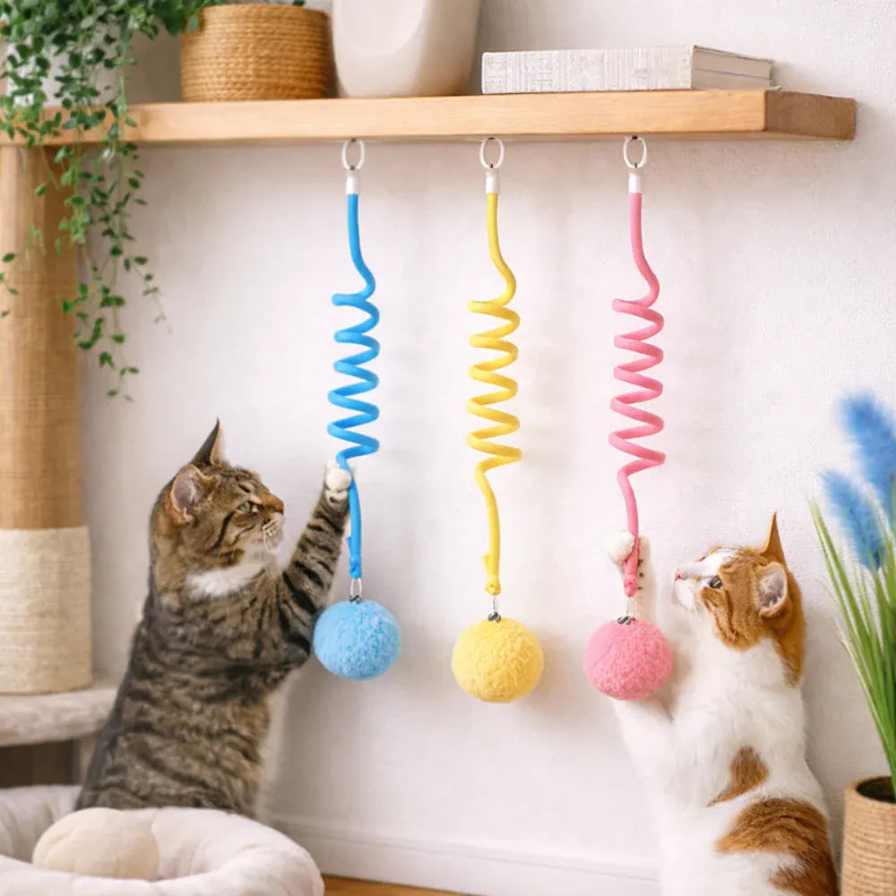 Interactive Remote Control Cat Activity Toy