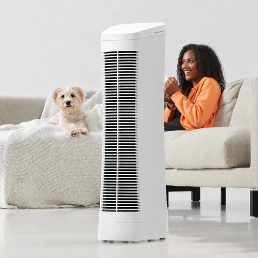Ionic Air Purifier with Quiet Fan Technology