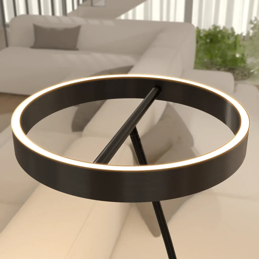 LED Floor Lamp with Remote Control and Adjustable Brightness Design