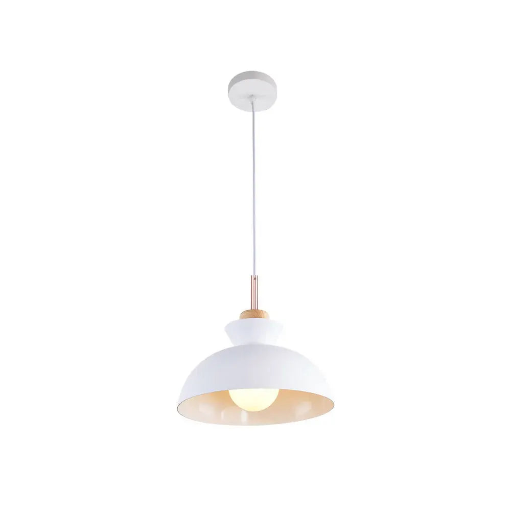 Modern Dome Pendant Light | Scandinavian Metal Hanging Ceiling Lamp