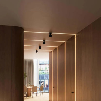 Modern Indoor Ceiling Spotlight Fixture
