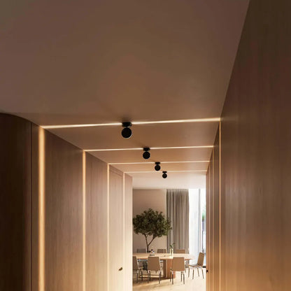 Modern Indoor Ceiling Spotlight Fixture