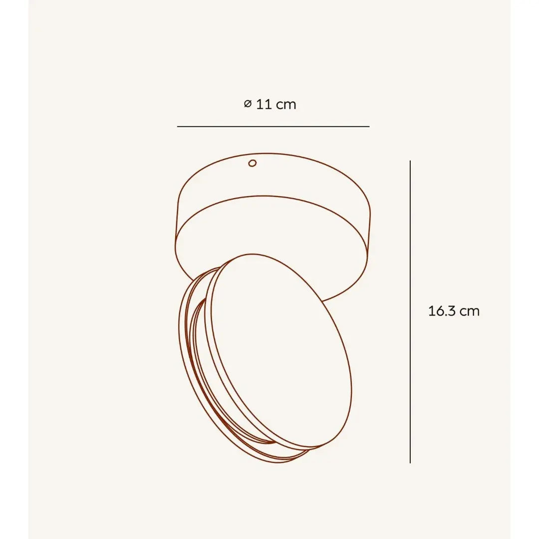 Modern Indoor Ceiling Spotlight Fixture