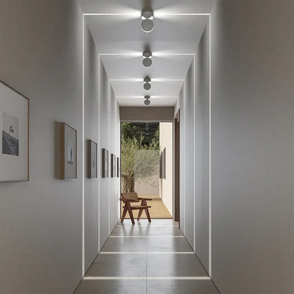 Modern Indoor Ceiling Spotlight Fixture