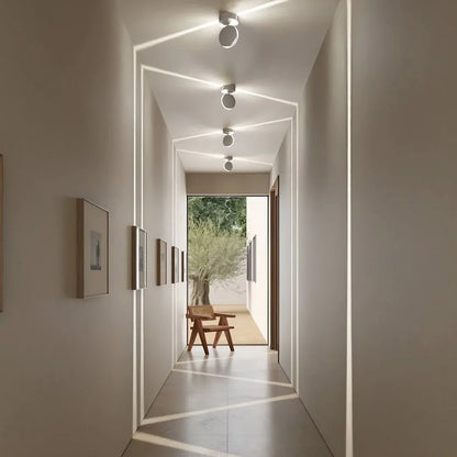 Modern Indoor Ceiling Spotlight Fixture